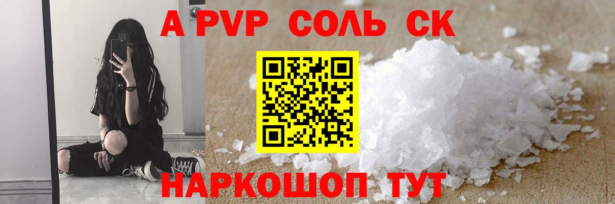 A PVP СК КРИС Волгоград