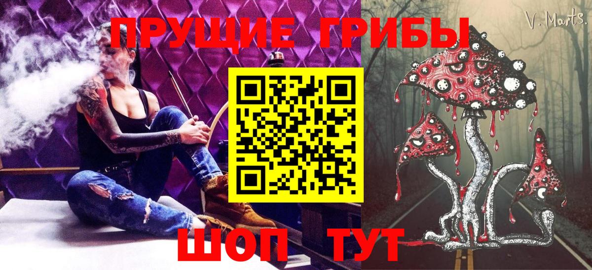 Галлюциногенные грибы Cubensis Волгоград